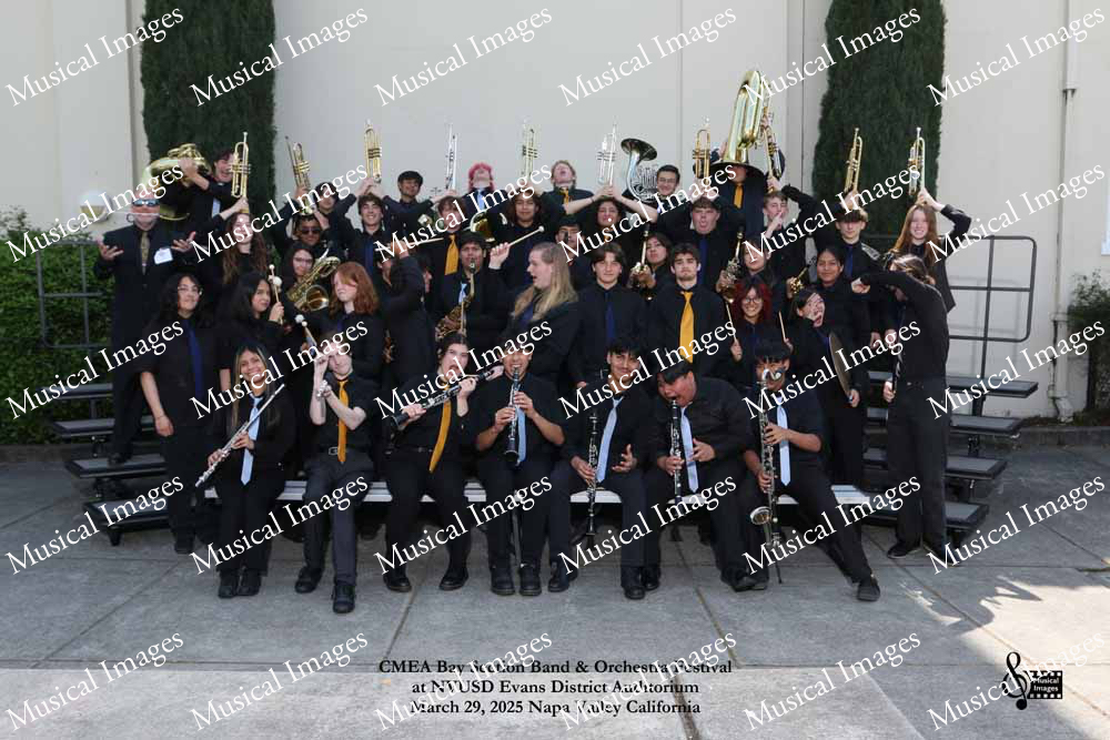 Musical Images